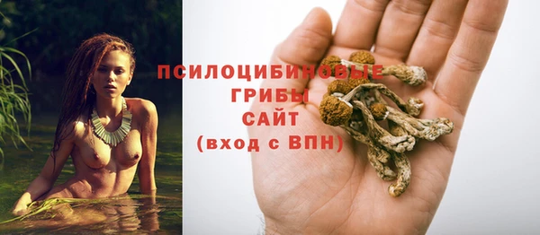 гашик Апатиты