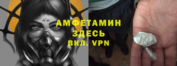 гашик Апатиты