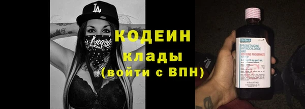 гашик Апатиты