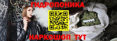 шишки Абинск