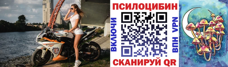 Галлюциногенные грибы Psilocybine cubensis  гидра ONION  Каменка  где купить наркотик 