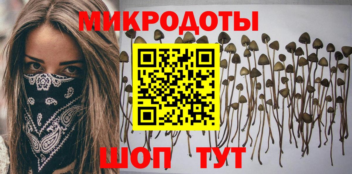 Галлюциногенные грибы Cubensis Каменка