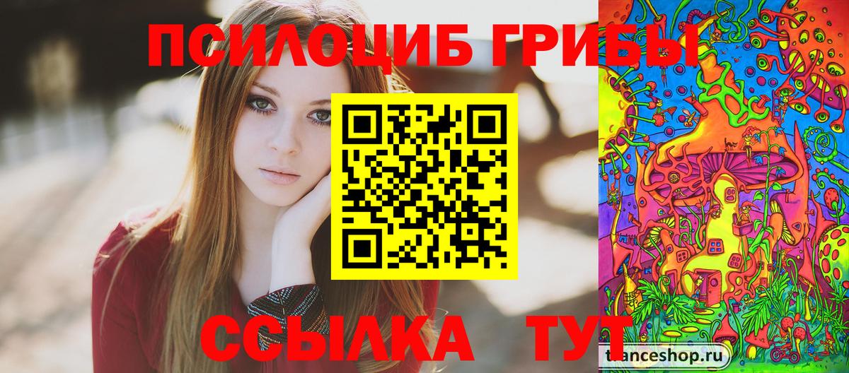Псилоцибиновые грибы MAGIC MUSHROOMS  Псилоцибиновые грибы мицелий  Каменка 
