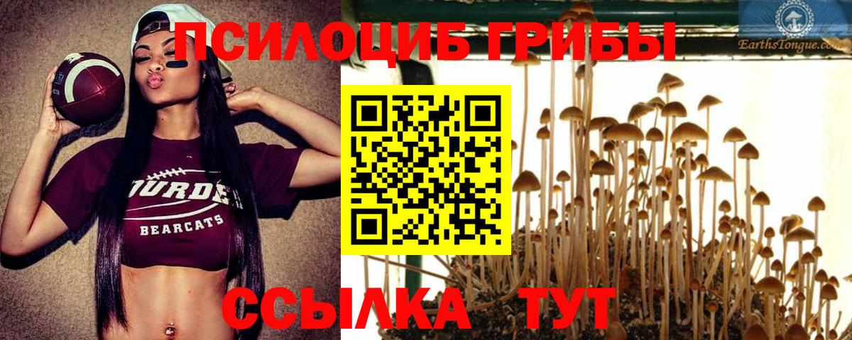 Галлюциногенные грибы Cubensis Каменка